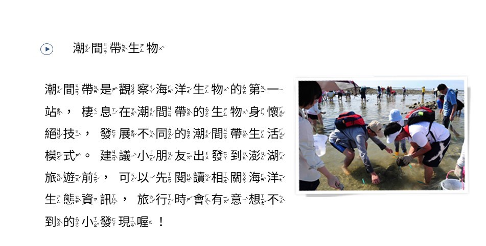 潮間帶生物
